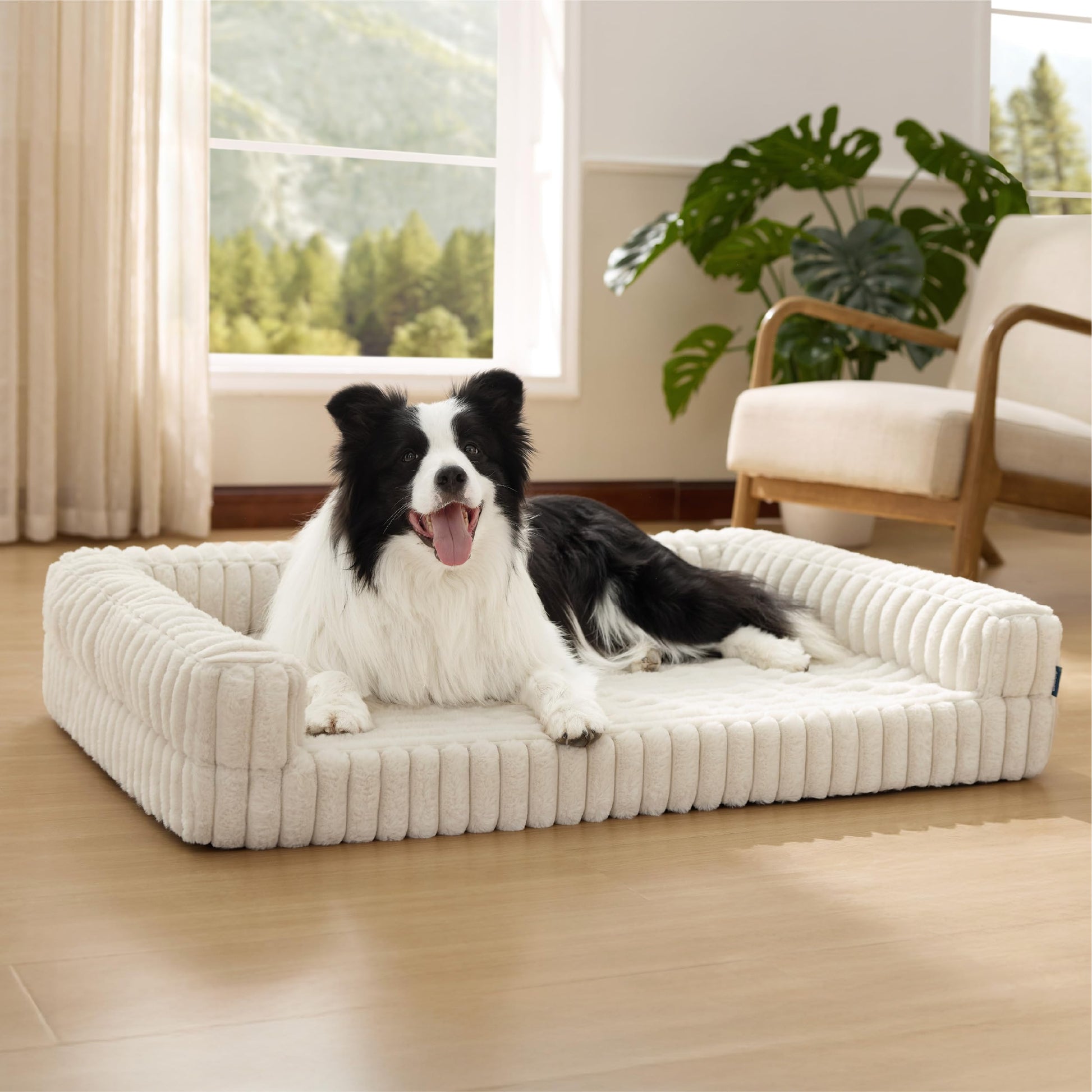 BEDSURE orthopädisches Hundebett für grosse Hunde, Creme, 89 x 64 cm – Hundesofa mit Cordbezug und Polsterrand