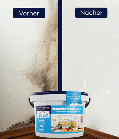 Plid® Anti Schimmel Renovierfarbe Innen Weiss 5L - Sanier-Set