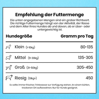 Pooch & Mutt Vitalität & Verdauung Getreidefrei Hundefutter Lachs 10 kg