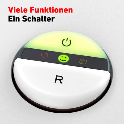 IDEAL 2445 Aktenvernichter - P-4 Partikelschnitt