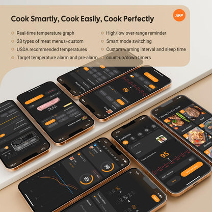 Inkbird INT-12-BW Grillthermometer kabellos mit WLAN und Bluetooth