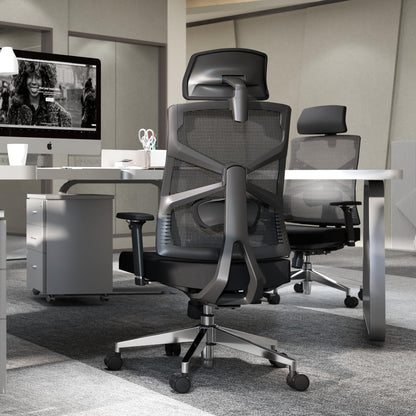 HOLLUDLE Ergonomischer Bürostuhl mit adaptiver Rückenlehne - Schwarz