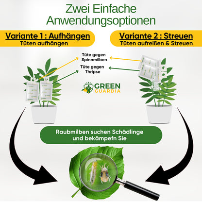 GREEN GUARDIA Power Raubmilben Mix gegen Thripse & Spinnmilben – 50 Mix