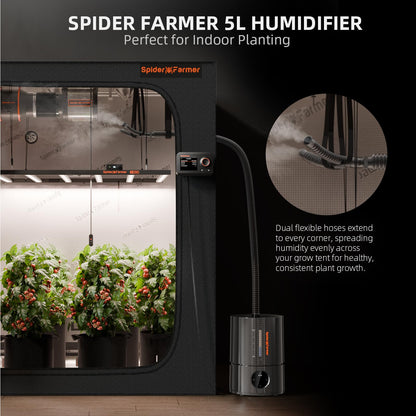 Spider Farmer SF-H5 Ultraschall-Luftbefeuchter 5L mit Hygrometer