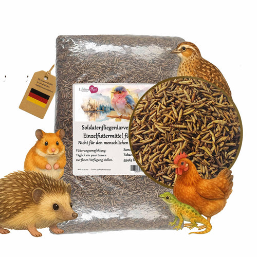 Liebesvogel Soldatenfliegenlarven Vogelfutter und Fischfutter 10 kg – getrocknete Larven für Vögel, Fische und Reptilien