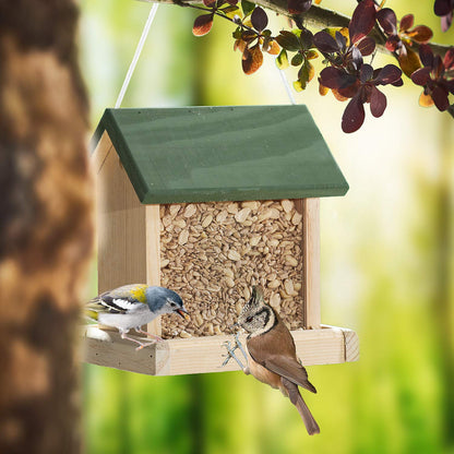 Paul´s Mühle Sonnenblumen Erdnuss Mix Vogelfutter - 25 kg