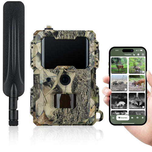 DÖRR Cloud Mini 4G/LTE Wildkamera, 12 MP, Full HD, Infrarotblitz