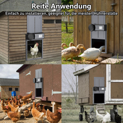 MASTERFUN Automatische Hühnerklappe Aluminium mit Timer und Display
