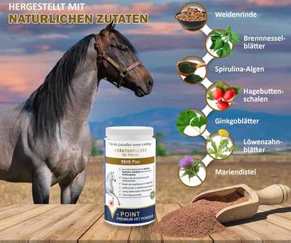 V-POINT REHE Plus Ergänzungsfuttermittel für Pferde, 450 g