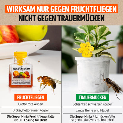 Super Ninja Fruchtfliegenfalle für den Innenbereich, 12er-Pack
