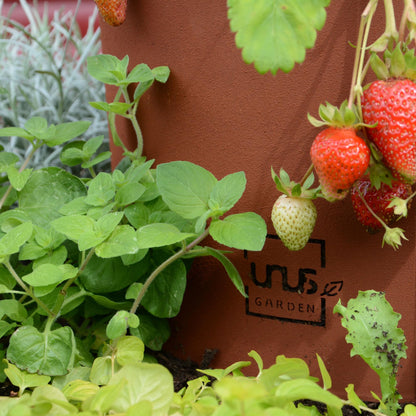 UNUS Garden Kräuterspirale Edelrost, rundes Kräuterbeet, 3 Ebenen