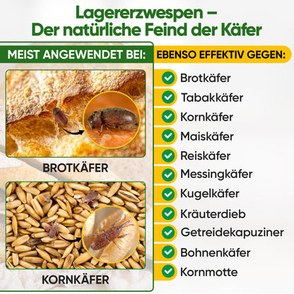 GREEN GUARDIA Lagererzwespen gegen Brotkäfer - 3 Röhrchen