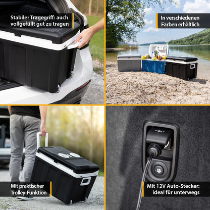 TZS First Austria Thermoelektrische Kühlbox 45L 12V/230V Schwarz