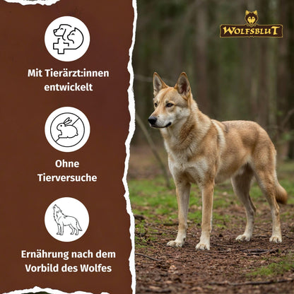 Wolfsblut Wild Duck & Turkey Adult Trockenfutter 12,5 kg