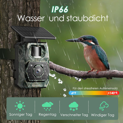 MAXDONE P218-X WLAN Wildkamera mit Solarpanel und Nachtsicht