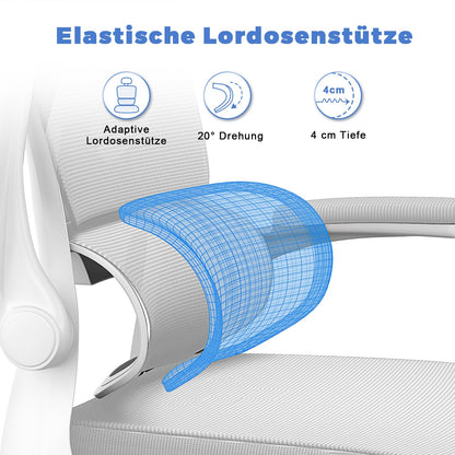 naspaluro Bürostuhl, Ergonomischer Schreibtischstuhl mit Verstellbarer Kopfstütze, Armlehnen, Dynamischer Lordosenstütze, Drehstuhl mit Atmungsaktivem Netzbezug für das Home Office,Grau