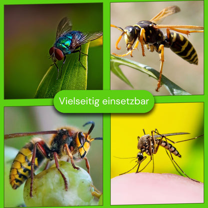 Aroba Profi Wespenfalle Insektenschutz - 5er Set 18cm