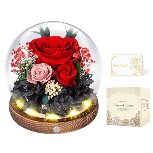 MAMAMIKO Konservierte Rose im Glas mit LED-Licht, Ewige Rose Rot – rote Rose unter Glaskuppel auf Holzbasis