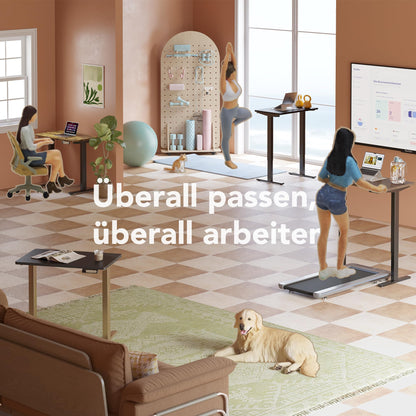 HUANUO Elektrischer Stehschreibtisch 80x48cm – Schwarz/Gold