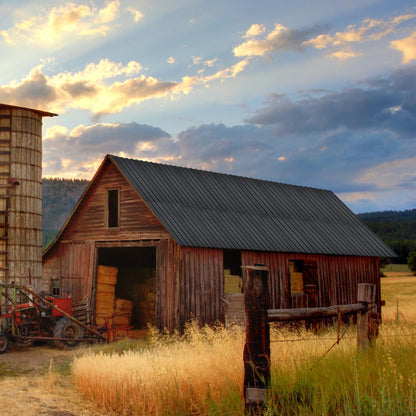 Thanaddo Trapezblech – 22er Set mit Schrauben 10.12m²