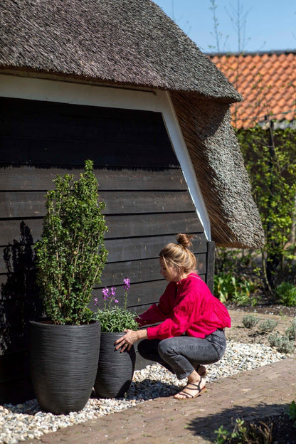 Capi Europe Elegant Rib NL niedrig Blumentopf 46x58 Anthrazit