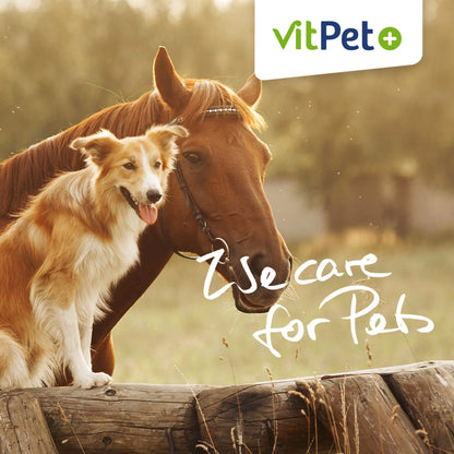 VitPet+ Huf Wohl Mineralfutter Pferde mit Biotin, Zink, 4 kg