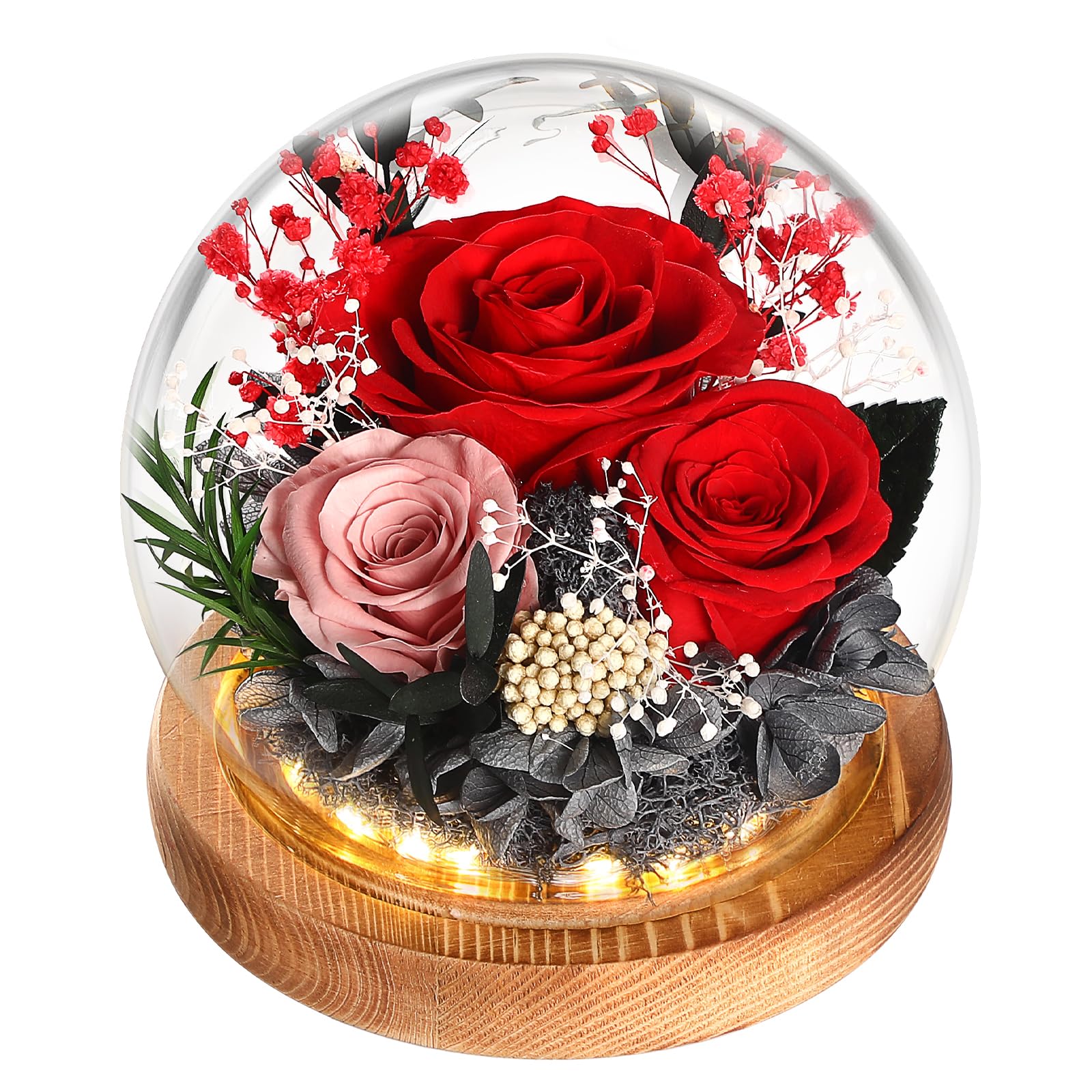 WYRIAZA Ewige Rose im Glas mit LED-Licht – konservierte Rose unter Glasglocke mit Lichterkette