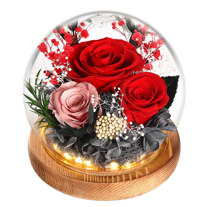WYRIAZA Ewige Rose im Glas mit LED-Licht – konservierte Rose unter Glasglocke mit Lichterkette