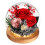 WYRIAZA Ewige Rose im Glas mit LED-Licht – konservierte Rose unter Glasglocke mit Lichterkette