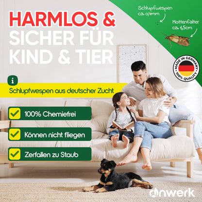 anwerk Schlupfwespen gegen Lebensmittelmotten, 20 Karten, 1 Lieferung