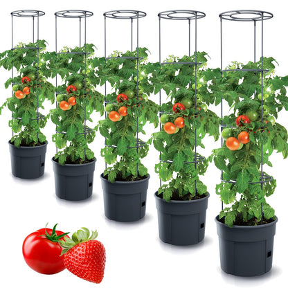 Tymar Tomatentopf mit Rankhilfe und Wasserspeicher, 5er-Set, 40 cm, Kunststoff (PP)