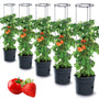 Tymar Tomatentopf mit Rankhilfe und Wasserspeicher, 5er-Set, 40 cm, Kunststoff (PP)