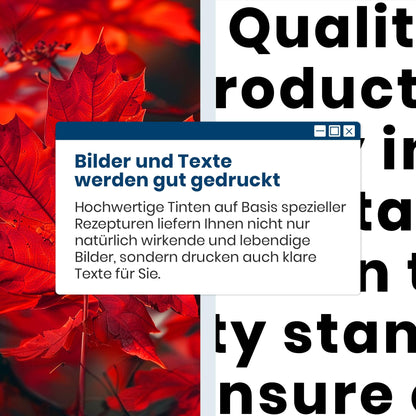 Washope PG-560XL CL-561XL Tintenpatronen Multipack für Canon Pixma