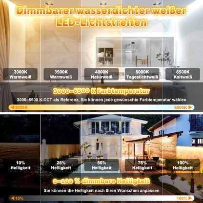 TENDIST LED Streifen Outdoor 20m warmweiss-kaltweiss IP67 dimmbar