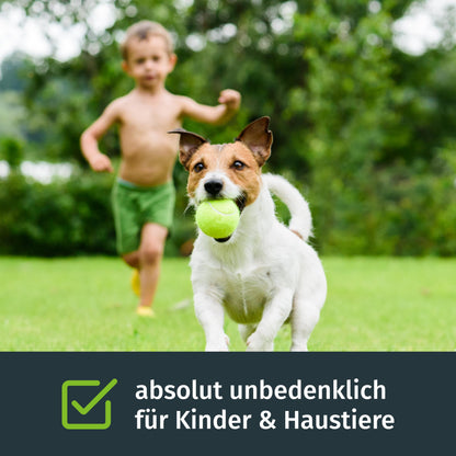 Turbogrün Sport und Spielrasen Rasensamen schnellkeimend 250m²