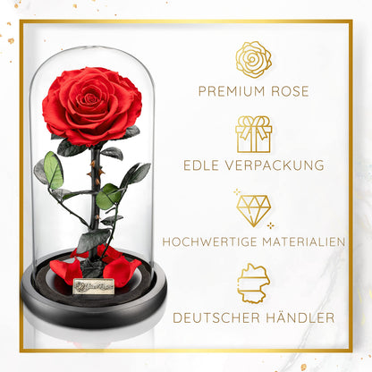 YourRoses® Echte Premium Rose im Glas mit Geschenkbox