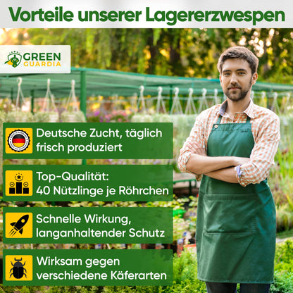 GREEN GUARDIA Lagererzwespen gegen Brotkäfer - 3 Röhrchen