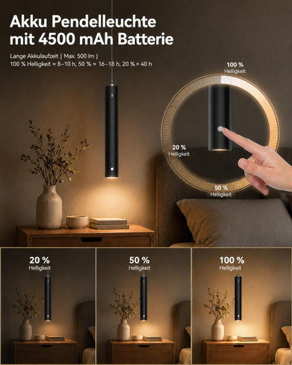 ACMHNC Akku Pendelleuchte Schwarz LED Hängelampe dimmbar USB-C