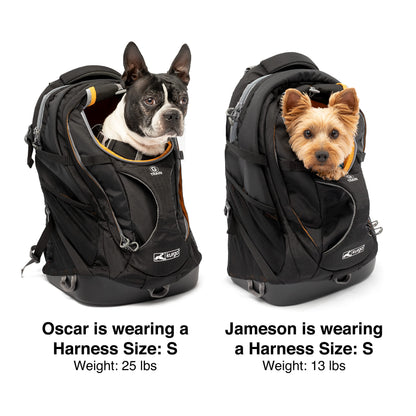 Kurgo G-Train Hunderucksack für Hunde bis 11 kg - Schwarz