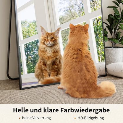 BEAUTYPEAK Ganzkörperspiegel 171x76cm – Stand- & Wandspiegel Schwarz