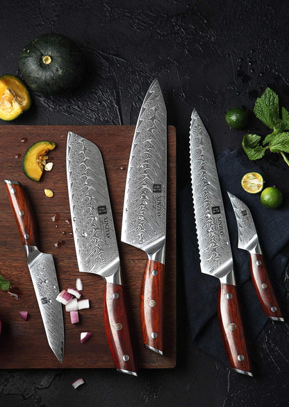 XINZUO Yi Serie Küchenmesser Set - 5tlg. VG10 Damast