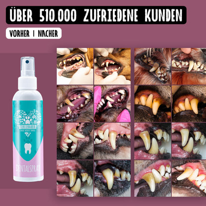 TIERLIEBHABER Dentalspray für Hunde – 100% natürliche Zahnpflege