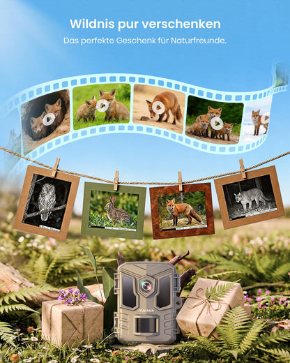 Misstech Wildkamera 4K 64MP mit Solarpanel und App, SV-TCKW