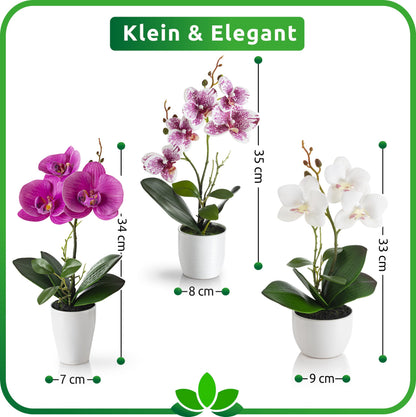 PASCH Kunstblumen im Topf, 3er Set künstliche Orchideen, Weiss-Rosé