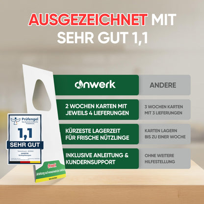 anwerk® Schlupfwespen gegen Lebensmittelmotten - 24 Karten
