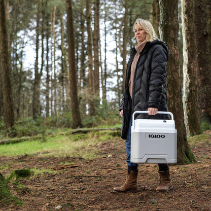 Igloo IE24 Elektrische Kühlbox 24L, 12V/230V für Auto und Camping