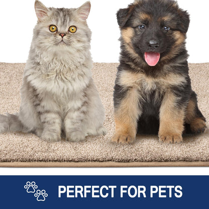 FCSDETAIL Schmutzfangmatte Innen 86 x 150 cm, rutschfeste Maschinenwaschbare Fußmatte, Sauberlaufmatte, Eingangstürmatte mit Wasserabsorbierenden, Fussmatte für Hund, Eingang, Haustür & Flur