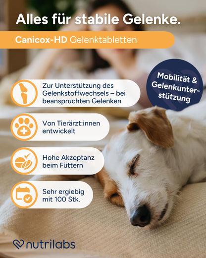 NutriLabs Canicox-HD Gelenktabletten für Hunde, 100 Kautabletten