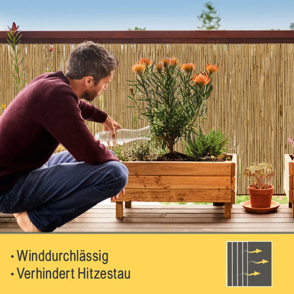 Sol Royal SolVision S36 Schilfmatte Sichtschutz 160x600 cm