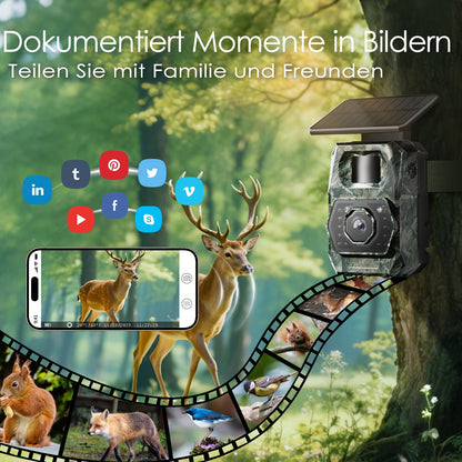 MAXDONE P218-X WLAN Wildkamera mit Solarpanel und Nachtsicht